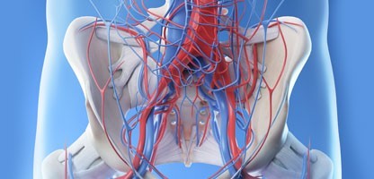 Mesenteric Ischaemia evaluation and treatment