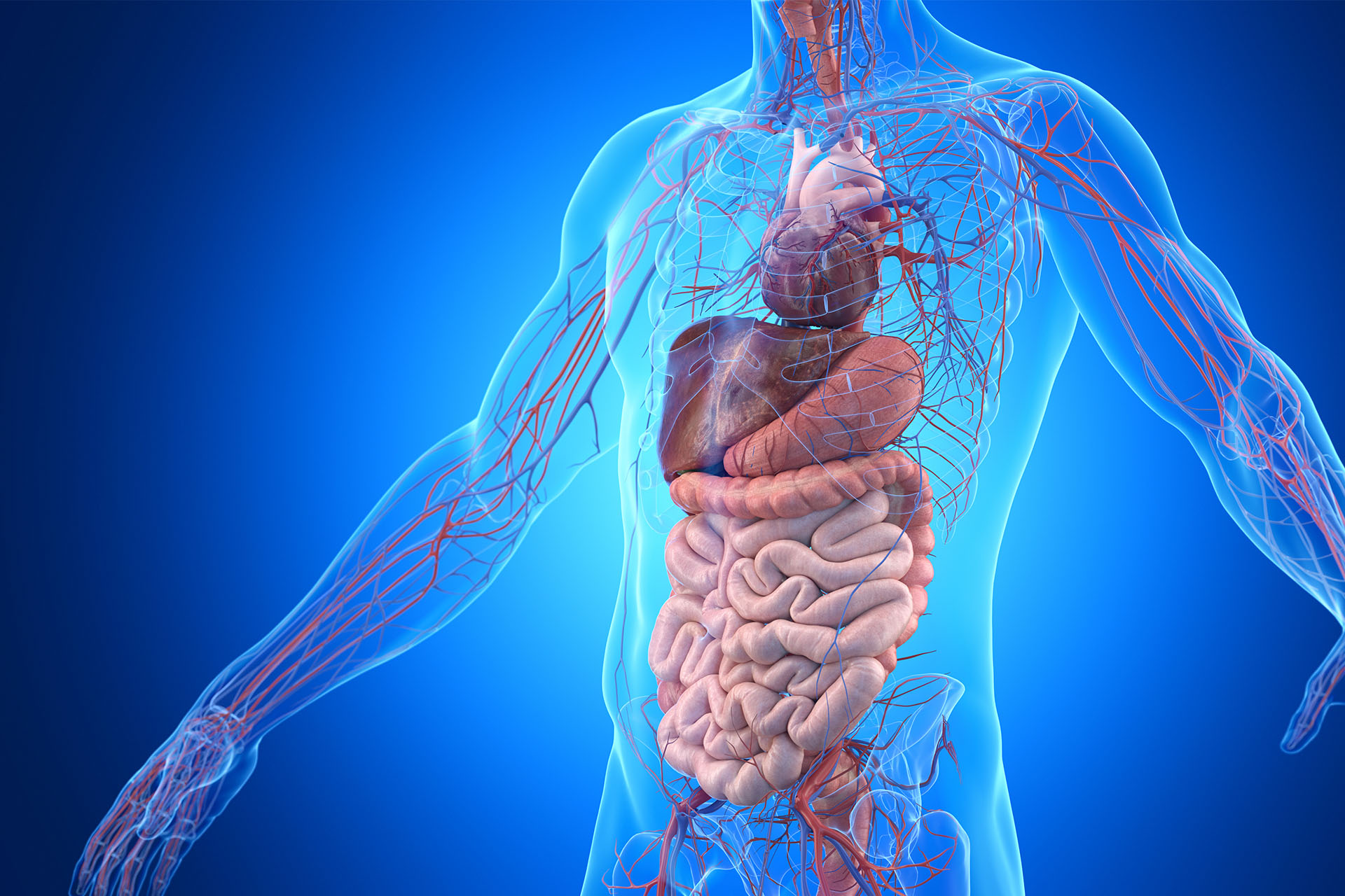 Portal and mesenteric vascular disease evaluation and treatment